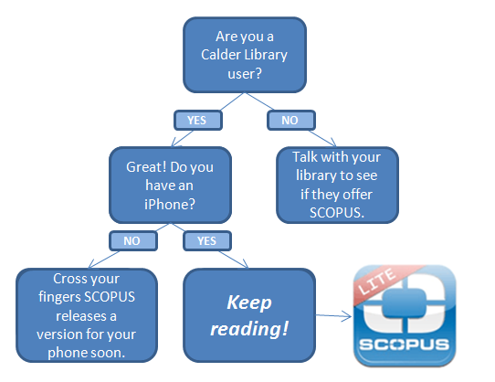 scopus flow chart